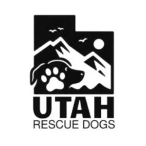 Profile photo of Kaye