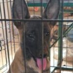 Profile photo of Lamprini