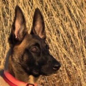 Profile photo of Lamprini