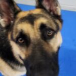 Profile photo of Dawn