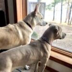 Profile photo of Katherine