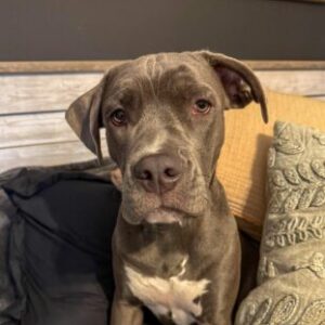 Profile photo of Alex