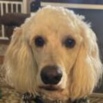 Profile photo of Derek