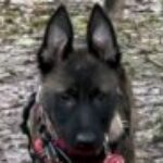 Profile photo of Anastasia