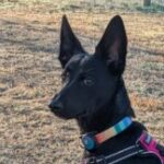 Profile photo of Joanna