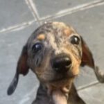 Profile photo of Scott W