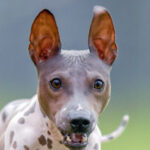 Profile photo of Susan