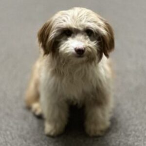 Profile photo of Heidi + Christian