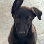 Profile photo of Xavier