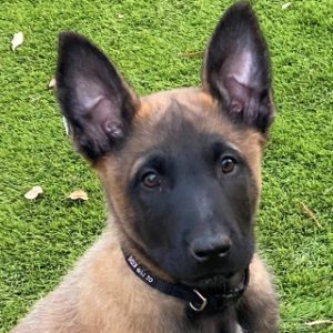 Profile photo of ChrisANDCherie