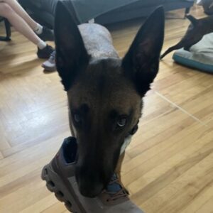 Profile photo of Donna