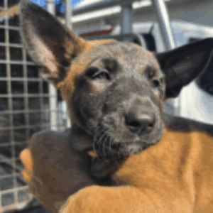 Profile photo of Linda