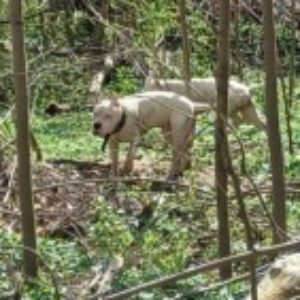 Profile photo of Zach