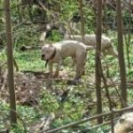 Profile photo of Zach